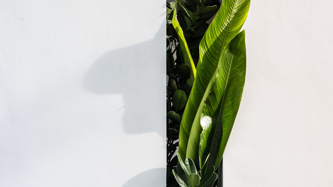 Gadgets that will make your garden look beautiful always